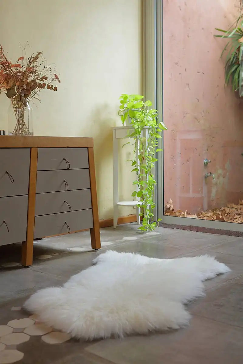 Single Fur Rug