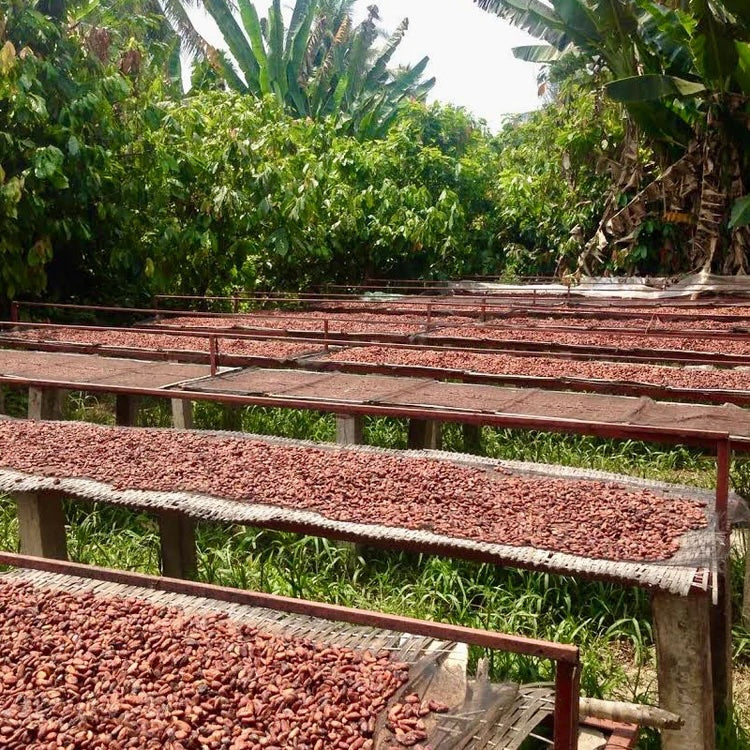75% Vietnam Dark Chocolate