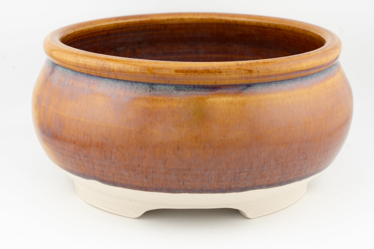 Bonsai Pot