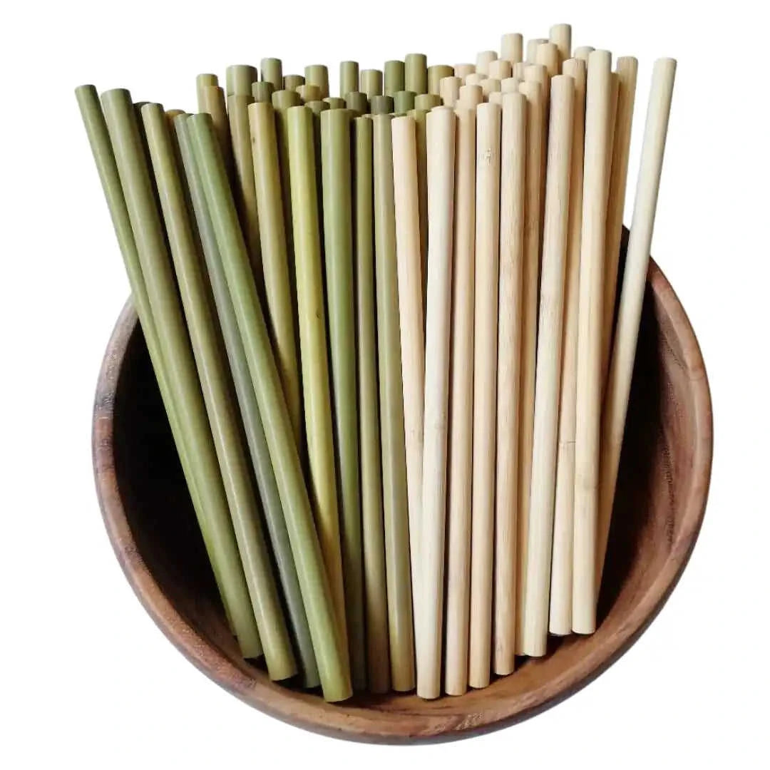 Eco-Friendly Bamboo Straws Eco My Home  Natural Toothbrush ecomyhome.store United States