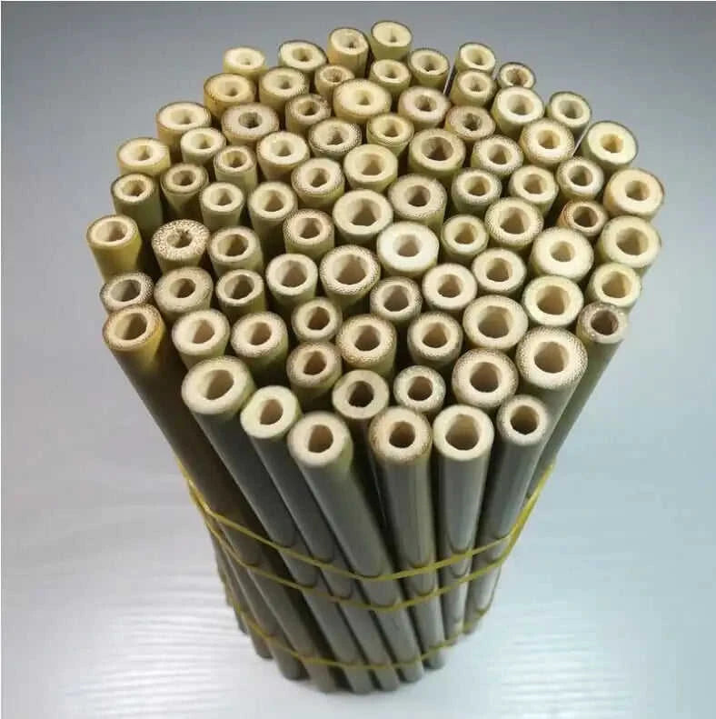Eco-Friendly Bamboo Straws Eco My Home  Natural Toothbrush ecomyhome.store United States