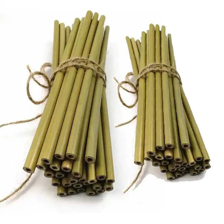 Eco-Friendly Bamboo Straws Eco My Home  Natural Toothbrush ecomyhome.store United States