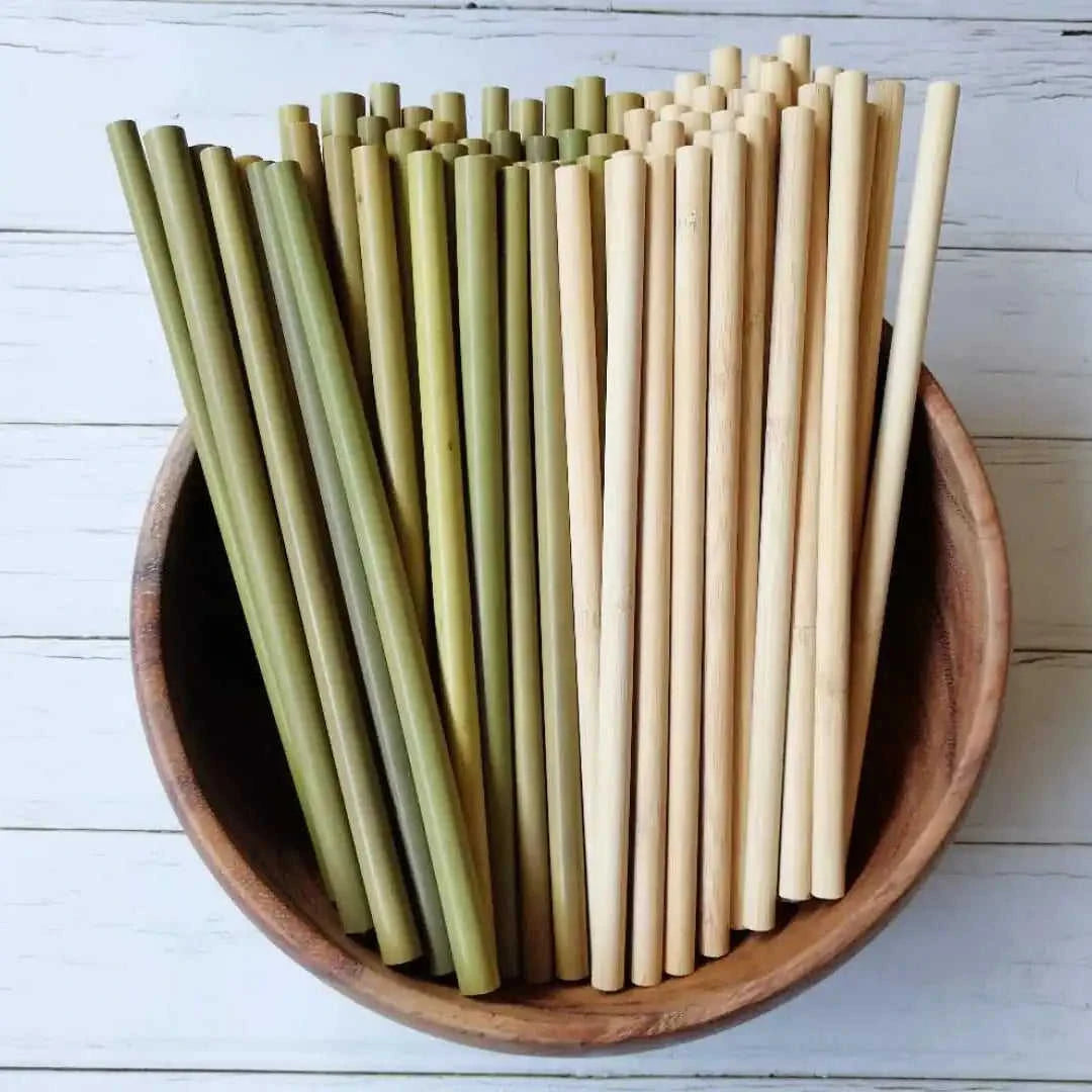 Eco-Friendly Bamboo Straws Eco My Home  Natural Toothbrush ecomyhome.store United States