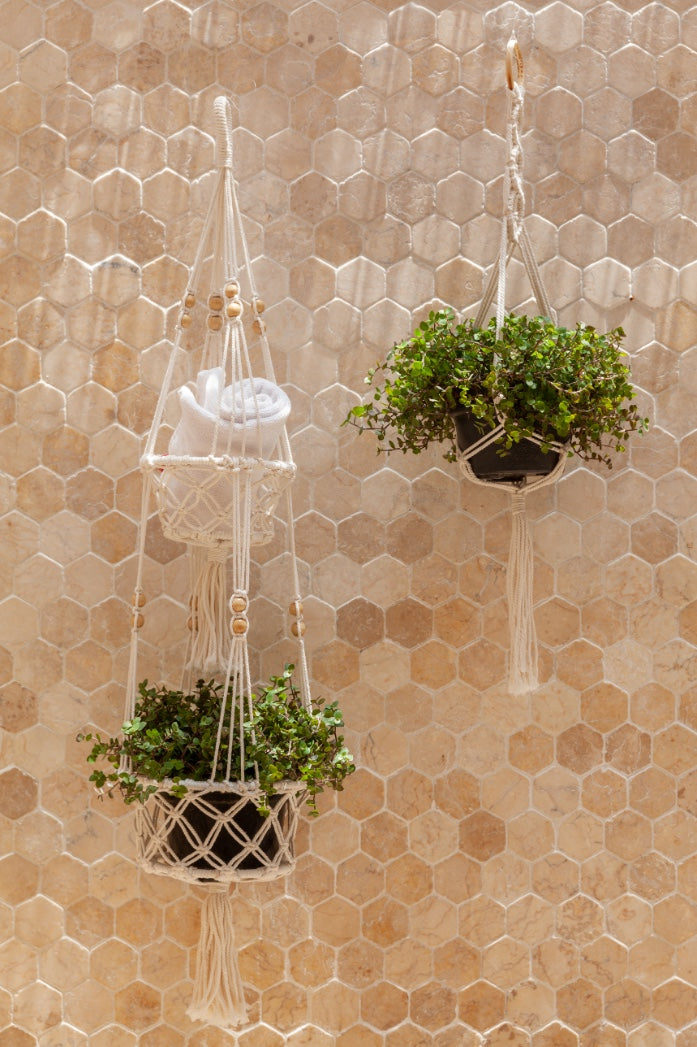 Macrame Cotton Plant Hangers