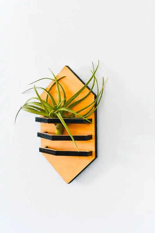 Geometric Air Plant Holder Eco My Home Home Decor PRW Made ecomyhome.store United States