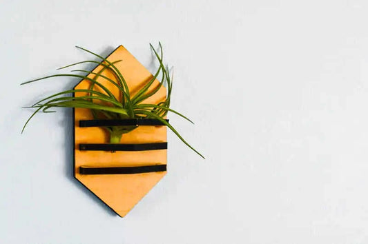Geometric Air Plant Holder Eco My Home Home Decor PRW Made ecomyhome.store United States