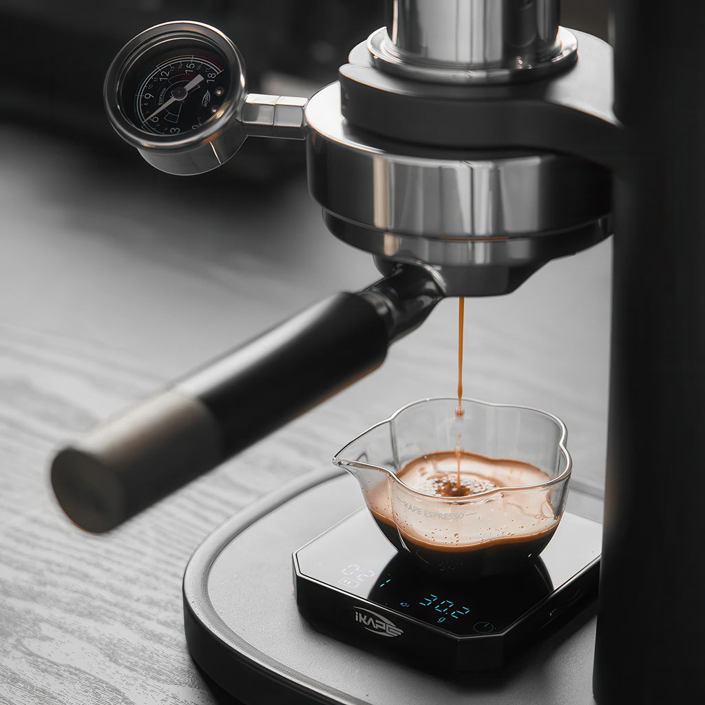 Alkaid Hand-Cranked Manual Coffee Machine