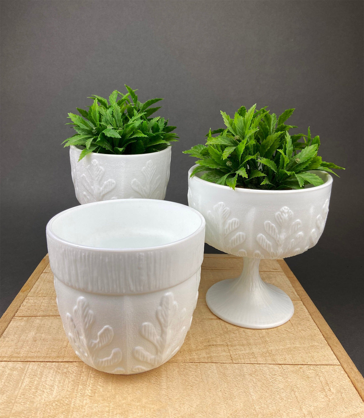 Milk Glass Oak Leaf Motif Planters. Set of Three Differently Shaped Vases. White Herb Pots. Window Sill.