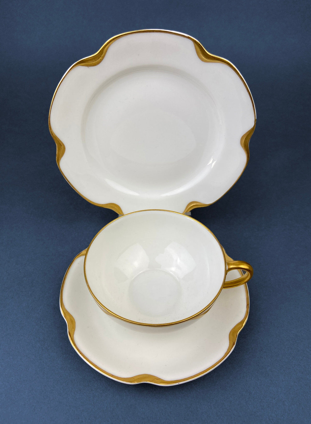 Antique Limoges Porcelain Serving Set. Tea or Coffee Cup with Saucer,  Dinner, and Salad Plates. Finest Porcelain by Haviland, France.