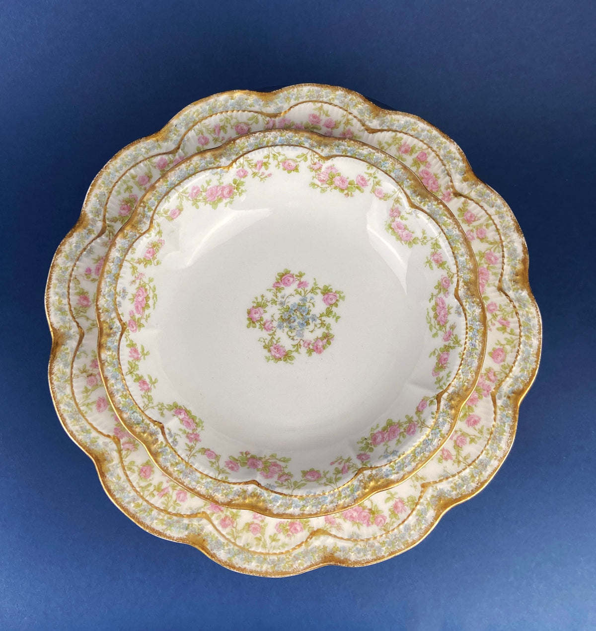 Antique Warwick Salad Plates: Hand-Painted Cottage Rose, Set of 6