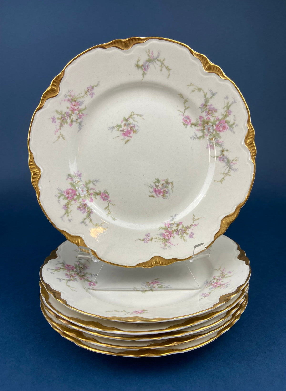 Antique Warwick Salad Plates: Hand-Painted Cottage Rose, Set of 6