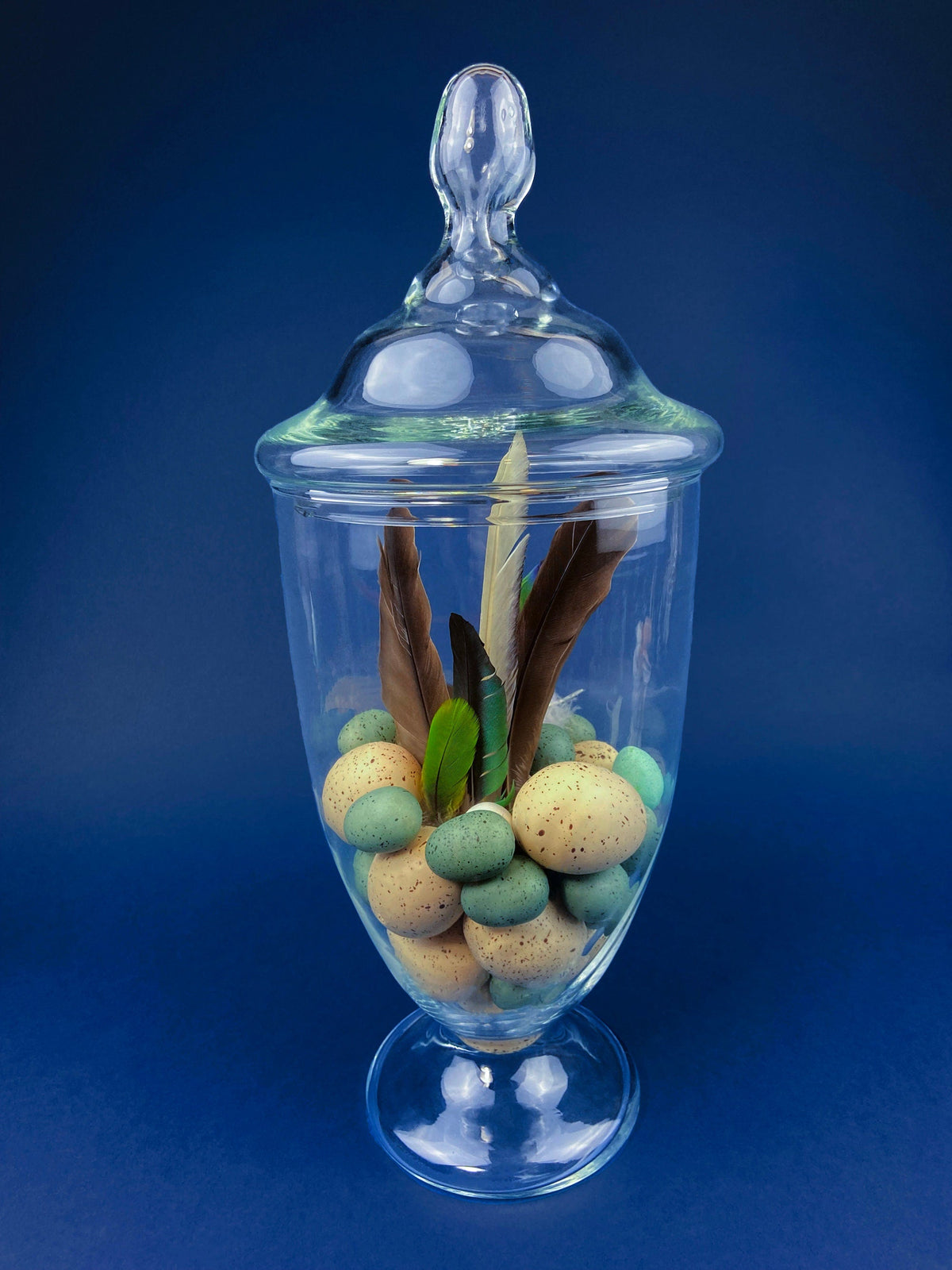 Large Lidded Apothecary with Eggs and Feathers. Alternative Spring/Easter Decor.  Footed, Glass Storage Jar. Table Centerpiece. Shabby Chic.