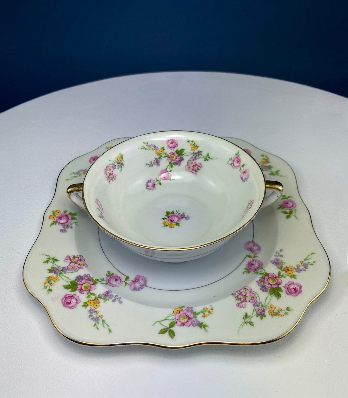 Antique Porcelain Bullion Bowls with Matching Square, 8.5" Dinner Plates. Set of 6. Flower Garlands, Sylvia by F&B Baronet China, Bohemia.