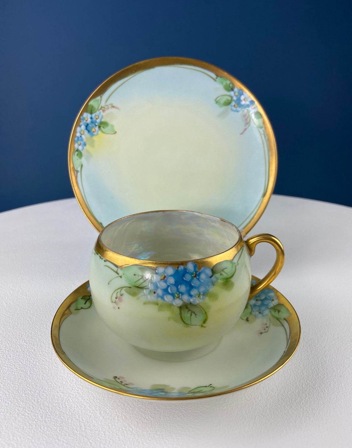 Antique Nippon Cup & Saucer Trio with Forget-Me-Not Motif. Hand Painted Porcelain. Collectible Porcelain.  Luxury Living.