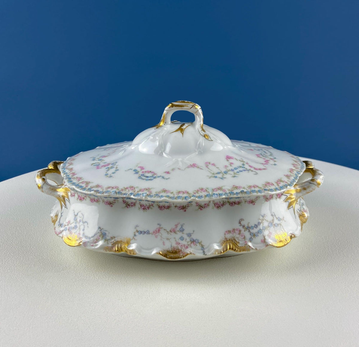 Antique Limoges Breakfast Lunch Dish Set for 8. Floral Motif: Forget-me-Nots Tea Roses. French Country Living. Dining Tea Room Decor.