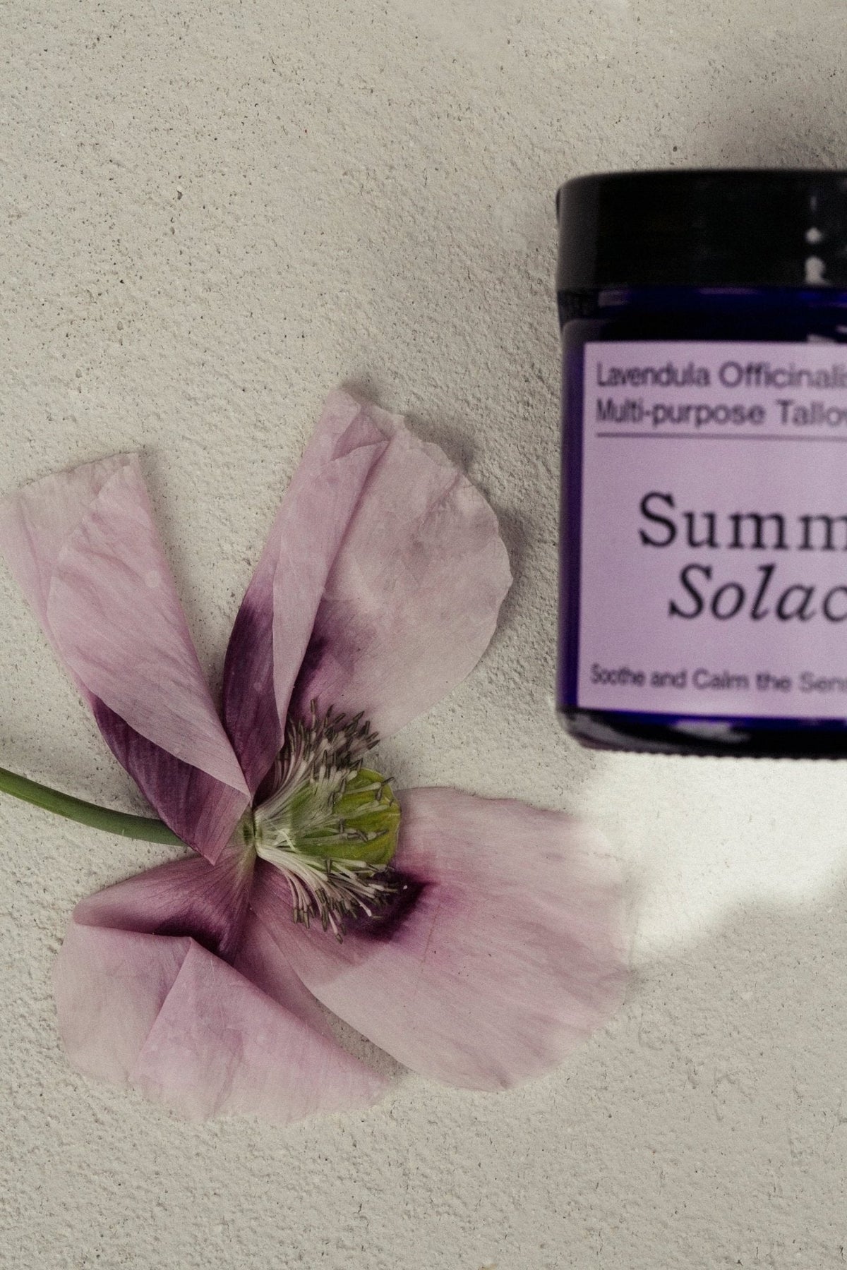 Lavendula Balm – Calming Floral Blend | Lavender & Golden Champa