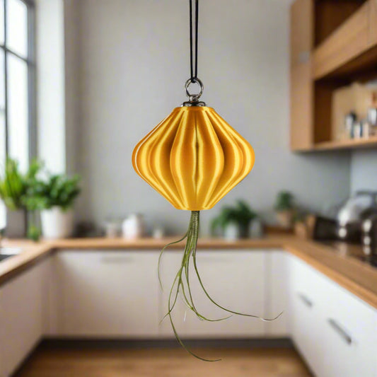 MAGNETIC Air Planter, JellyFish, Air Plant Included