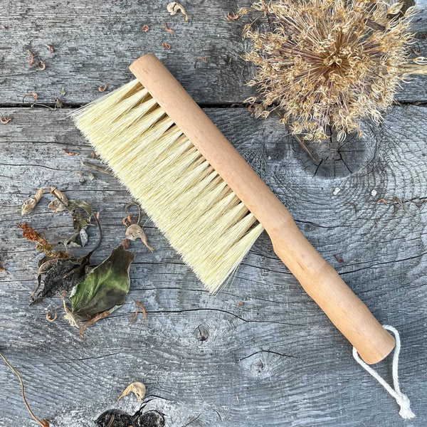Multi-Purpose Gardener's Brush Eco My Home Brush Seattle Seed Company ecomyhome.store United States
