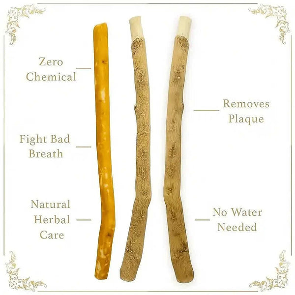 Natural Branch Miswak Toothbrush Stick Eco My Home  Natural Toothbrush ecomyhome.store United States