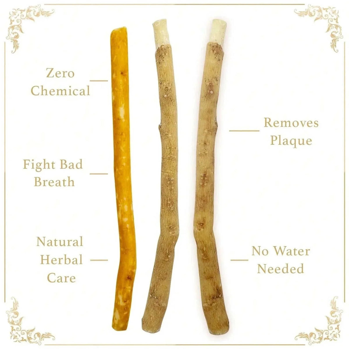 Natural Branch Miswak Toothbrush Stick Eco My Home  Natural Toothbrush ecomyhome.store United States