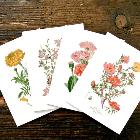 Vintage Botanical Greeting Cards – Set of 4 with Envelopes