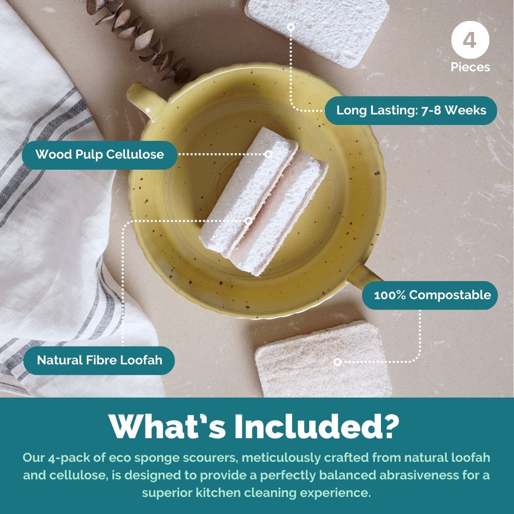 Eco Dish Sponges | Pack of 4