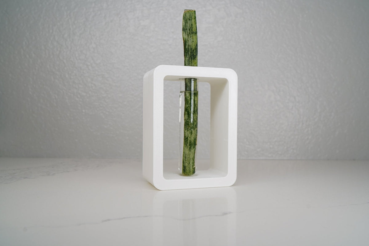 Rectangle Propagation Station