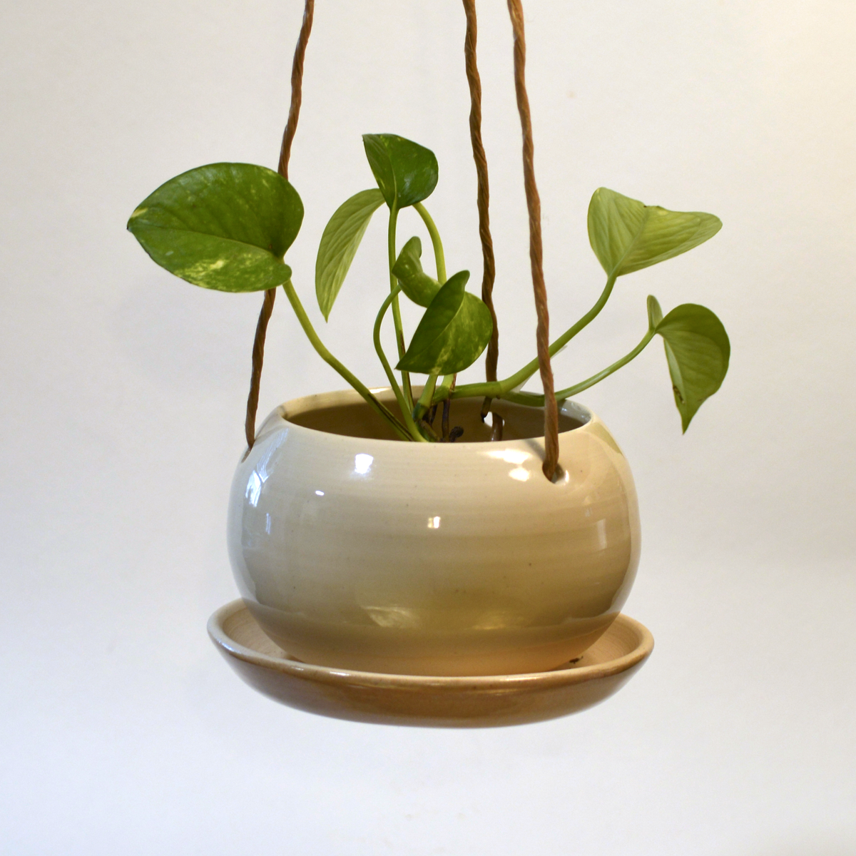 Hanging Planter, 5" or 7" wide