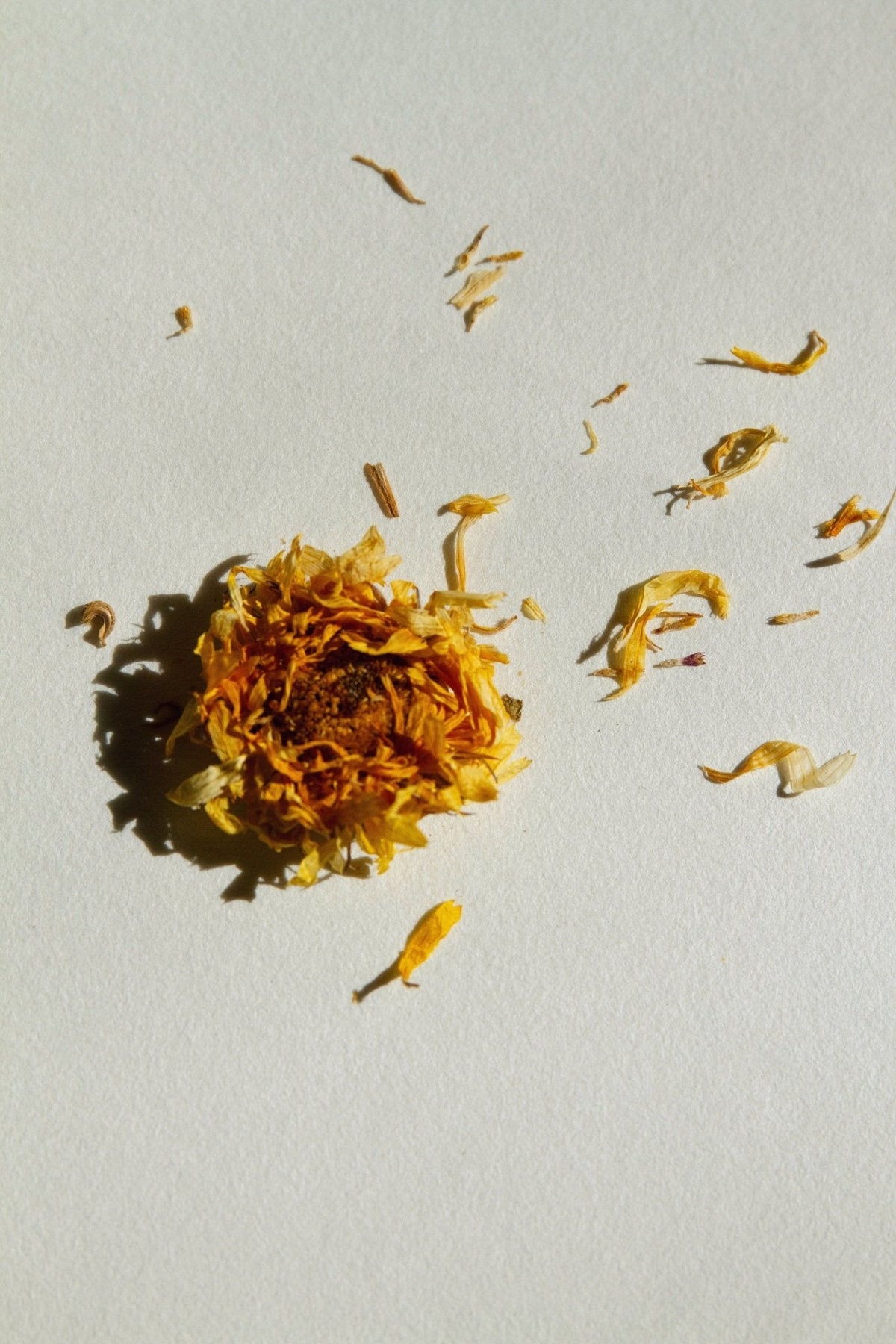 SEELE – Exfoliating Sea Salt Scrub | Celtic Salt®, Choya Nākh, Coriander & Pearl Extract
