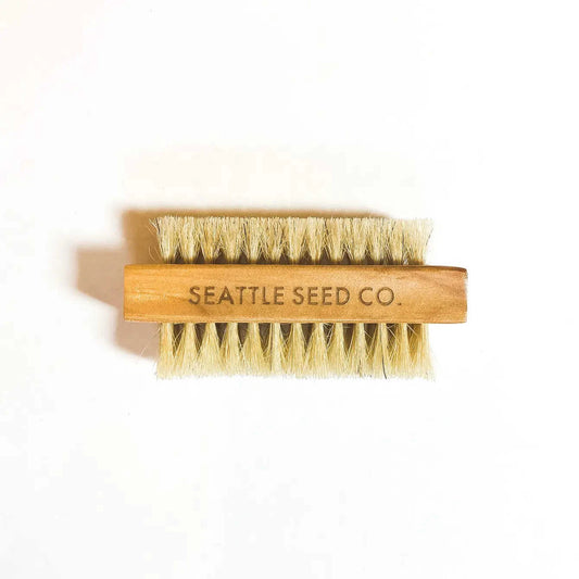 Vegetable and Nail Brush Eco My Home Brush Seattle Seed Company ecomyhome.store United States